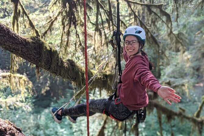 Old-Growth Tree Climbing at Silver Falls State Park - The Sum Up: Is It Worth It?