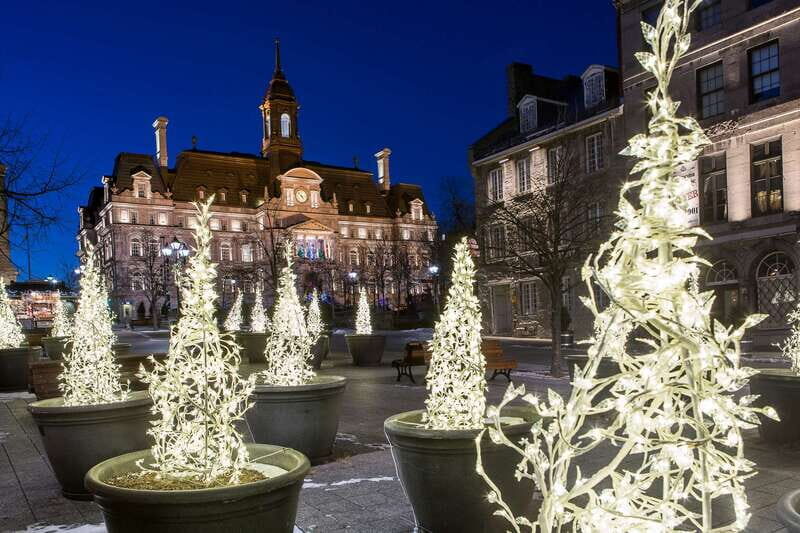 Old Montréal Small-Group Christmas Tour - Who Is This Tour Best For?