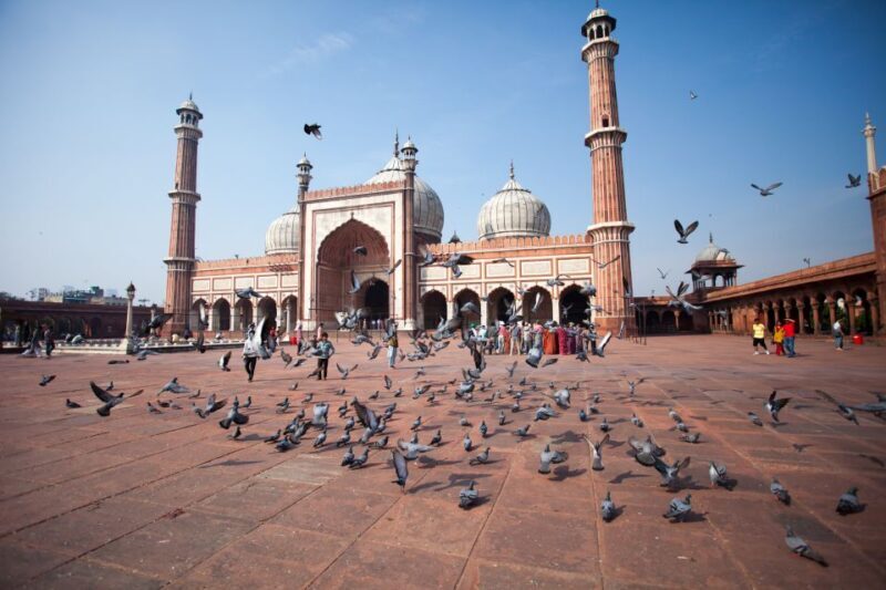Old & New Delhi City Tour Half or Full Day Options - Key Points