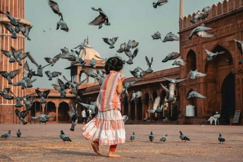 Old & New Delhi Culture & Architecture City Private Tour - FAQ