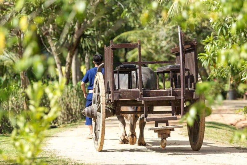 Old Phuket Farm Ticket - Countryside Local Life Culture - Final Reflection: Is It Worth It?