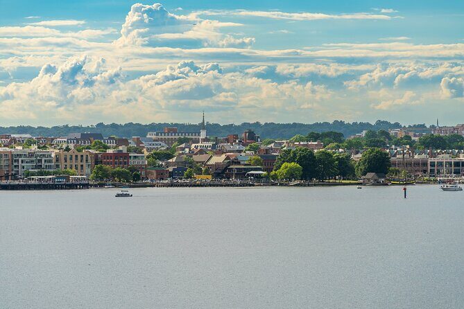 Old Town Alexandria in a Day with Round Trip Ferry Cruise - Who Will Love This Tour?