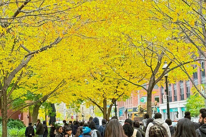 Old Town Toronto and Saint Lawrence Market Walking Tour - The Sum Up: Who Is This Tour Best For?