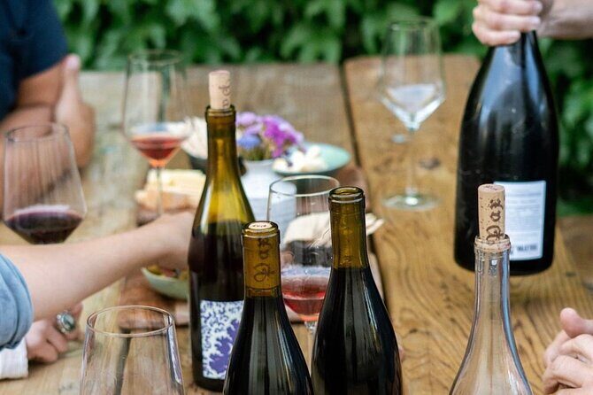 Olive Oil, Cheese, and Wine Tasting with Local Expert - How It’s Structured for You