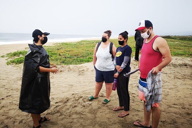 Olive Ridley Turtle Release Experience - An Authentic Encounter with Nature and Conservation
