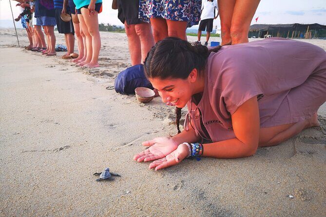 Olive Ridley Turtle Release Experience - FAQ