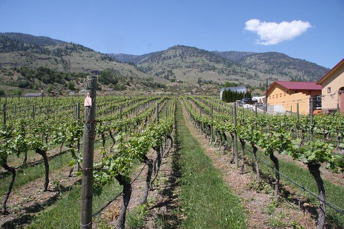 Oliver & Osoyoos Private Wine Tour - Half Day - A Detailed Look at the Oliver & Osoyoos Private Wine Tour