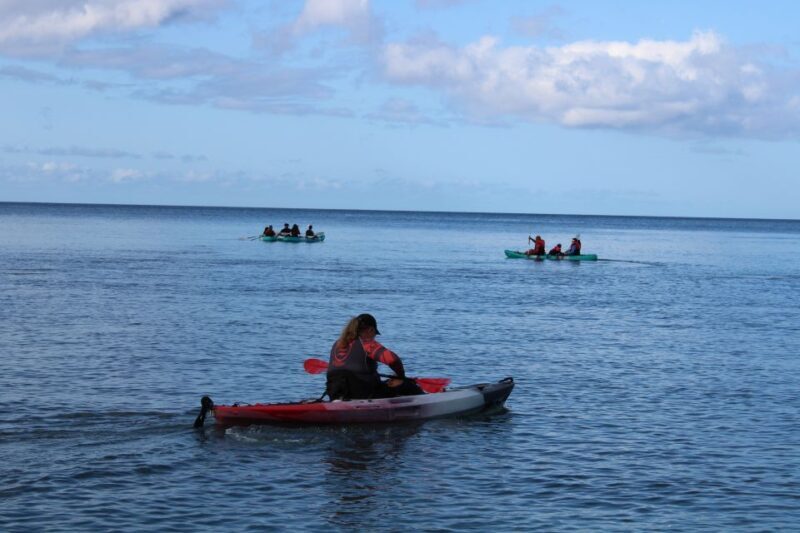 Olowalu: Guided Kayak and Snorkeling Tour - Unlimited - The Equipment and Comfort