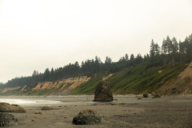 Olympic Full Day Private Tour and Hike - Who Will Love This Tour?