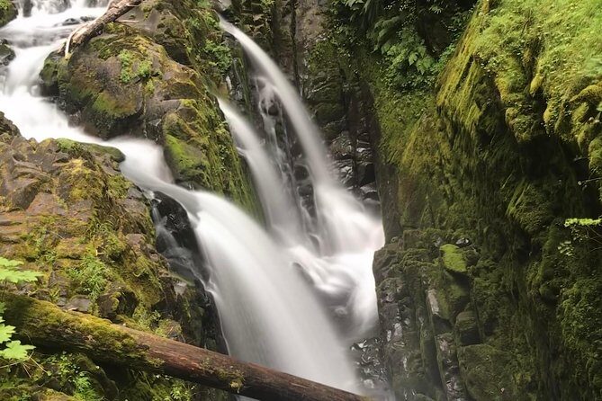 Olympic National Park Day Tour from Seattle - Olympic National Park Day Tour from Seattle: An Honest Look