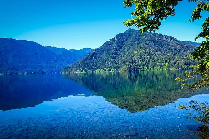 Olympic National Park Day Tour from Seattle - What Sets This Tour Apart?