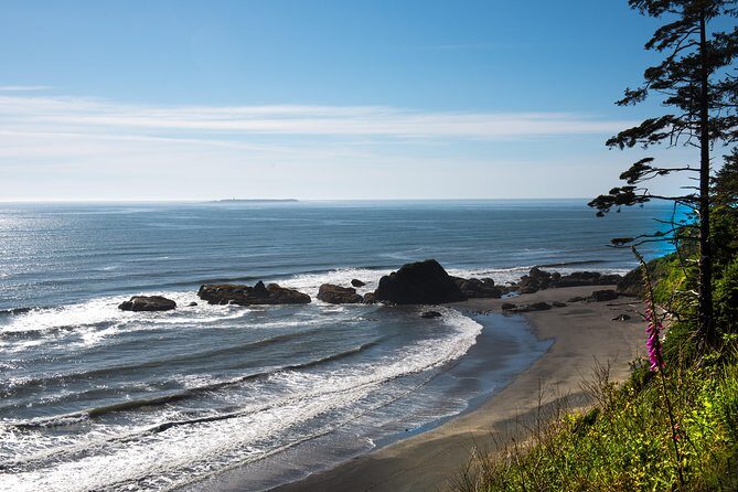 Olympic National Park Day Tour from Seattle - Practical Tips for Your Day