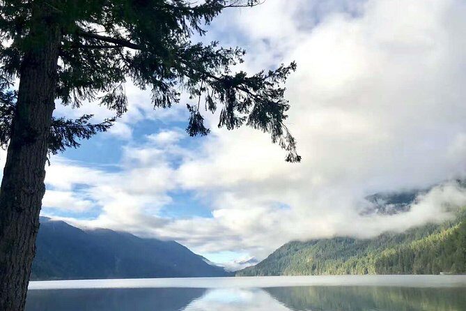 Olympic National Park Full-Day Tour W/ Scenic State Ferries - The Sum Up
