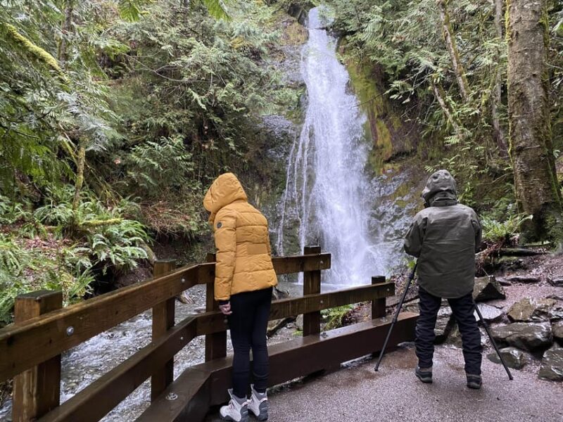 Olympic National Park: Half-Day Tour - Key Points