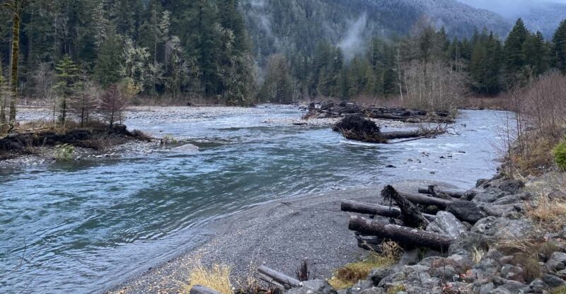 Olympic National Park: Half-Day Tour - What to Expect on the Olympic National Park Half-Day Tour
