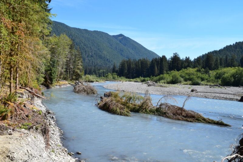Olympic National Park: Hoh Rain Forest and Rialto Beach Tour - Final Thoughts