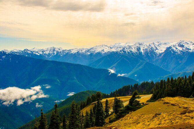 Olympic National Park Self-Guided Driving Audio Tour - Who Should Consider This Tour?