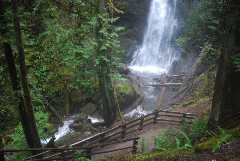 Olympic National Park: Sol Duc and Hurricane Ridge Tour - Key Points