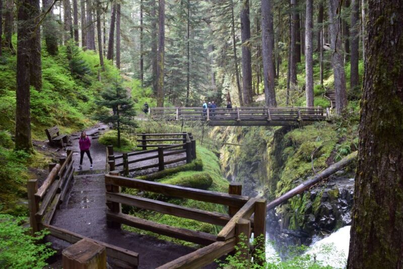 Olympic National Park: Sol Duc and Hurricane Ridge Tour - Authentic Experiences and Reviews