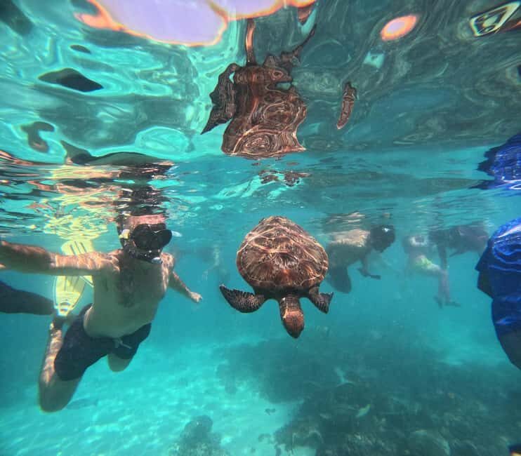 Oman: Daymaniyat Island Snorkeling Trip with Equipment - An In-Depth Look at the Snorkeling Adventure