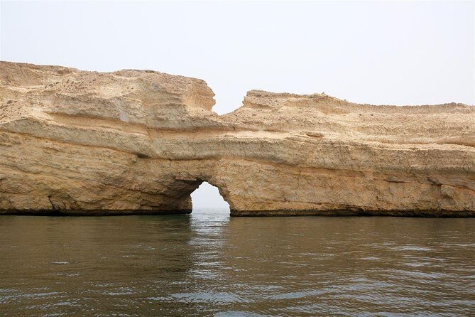 Oman Dolphin Watching Tours - Final Thoughts