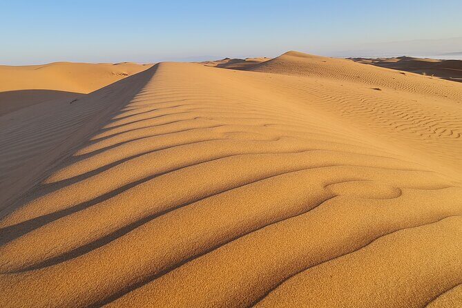 Oman Highlights: Wahiba Sands Desert & Wadi Bani Khalid Tour - What Past Travelers Say