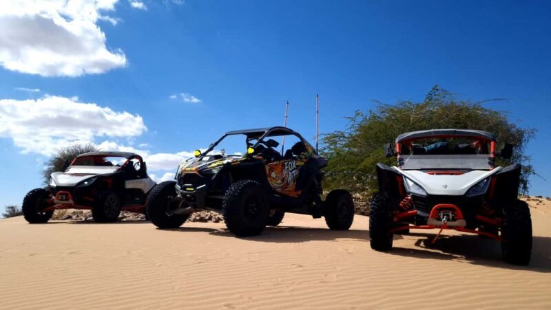 Oman Wahiba Sands ATV Safari: 400 KM Full-Day Loop to Beach - Key Points