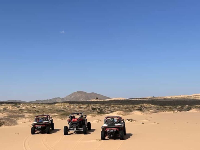Oman Wahiba Sands ATV Safari: 400 KM Full-Day Loop to Beach - A Detailed Look at the Experience