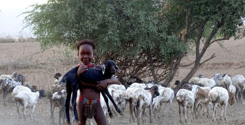 Omo Valley Experience Tours 4 Days - An In-Depth Look at the 4-Day Omo Valley Experience