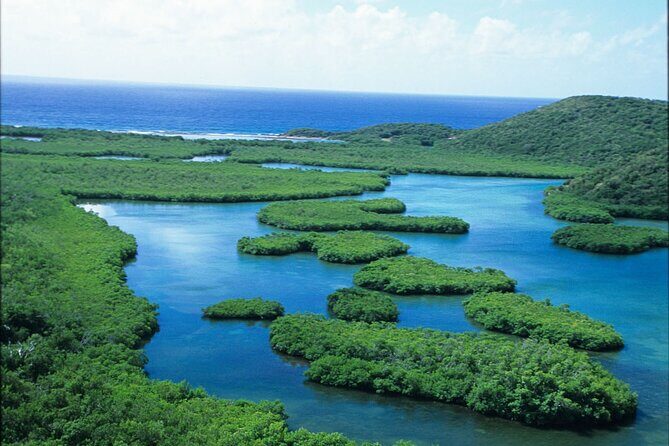 On Your Own: Kayak in the Mangrove Lagoon - Navigating the Lagoon and Surroundings