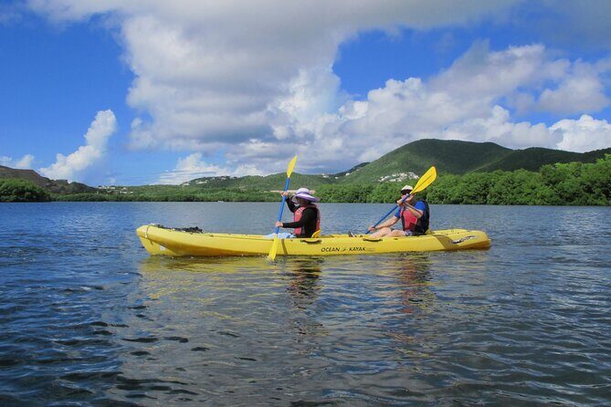 On Your Own: Kayak in the Mangrove Lagoon - The Sum Up