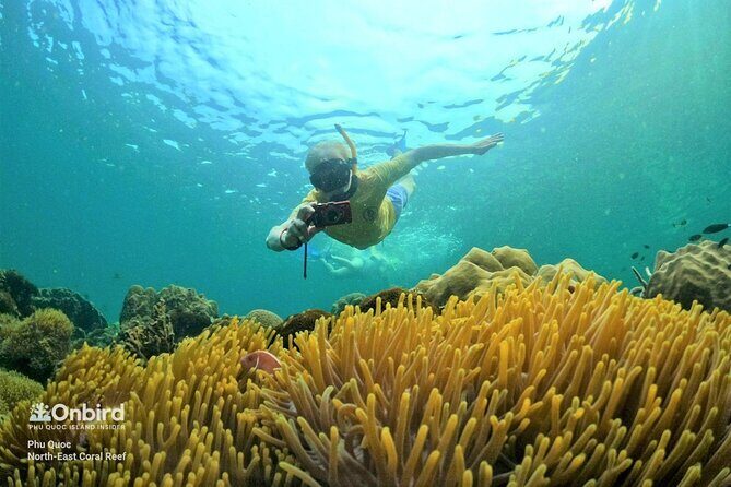 OnBird - PRIVATE ADVENTURE SNORKELING - explore Half-moon reef & Coral Mountain - A Personal Touch: Why This Tour Stands Out