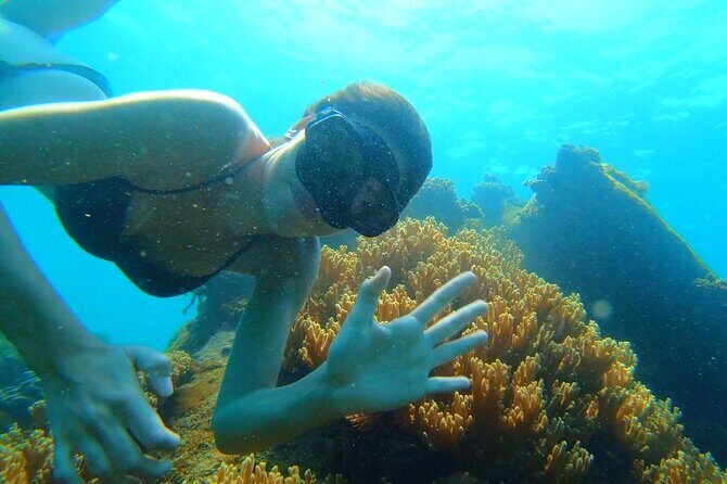 OnBird - PRIVATE ADVENTURE SNORKELING - explore Half-moon reef & Coral Mountain - Who Will Love This Tour?