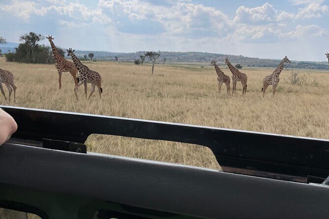One Day Akagera Wildlife Safari - Starting the Adventure: Pickup and Early Mornings