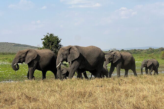 One Day Akagera Wildlife Safari - Optional Boat Safari on Lake Ihema