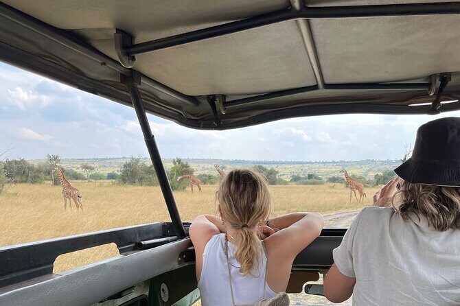 One Day Akagera Wildlife Safari - Practical Details: Cost, Transportation, and Booking