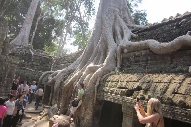 One Day Angkor World Heritage Tour - The Pros and Cons
