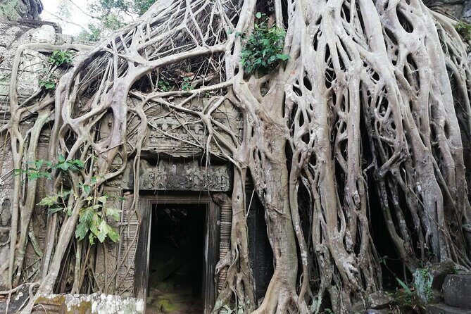 One Day Angkor World Heritage Tour - Final Thoughts: Is It Worth It?