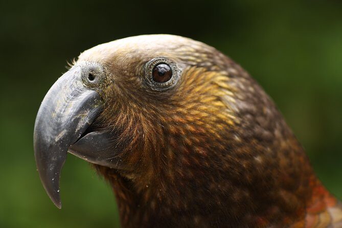 One Day Birding Adventure - Exploring the Itinerary in Detail