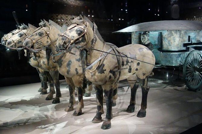 One Day Chengdu Xian Tour by Bullet Train - The Itinerary: A Closer Look