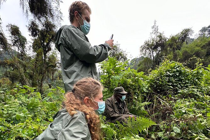One Day Gorilla Trekking Rwanda & Iby'iwacu Cultural Village - The Experience in Practice: What You’ll Feel