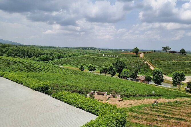 One Day Group Tour Experience in Chiangrai - Final Thoughts