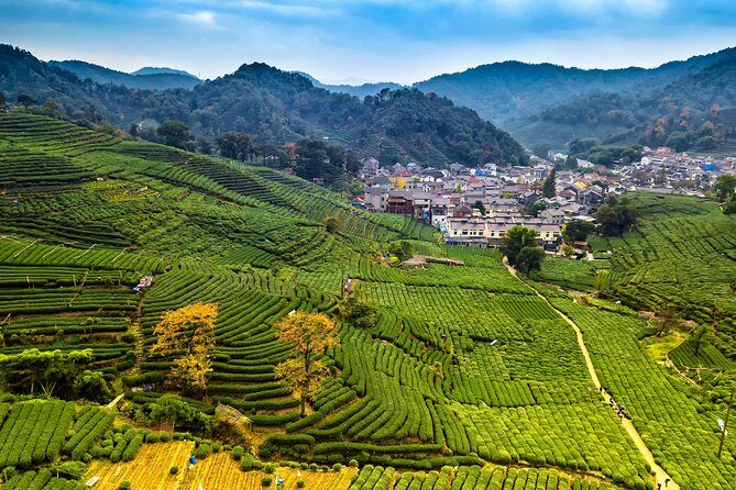 One-Day Hangzhou Dragon Well Tea Culture & West Lake Private Tour - Who Will Love This Tour?