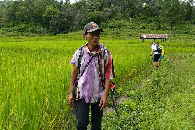 One day hiking tour in Chiang Mai - Transportation, Group Size, and Practicalities