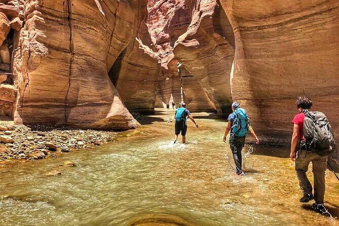 One Day Hiking Wadi Al Hasa Canyon - An In-Depth Look at the Wadi al-Hasa Hiking Tour