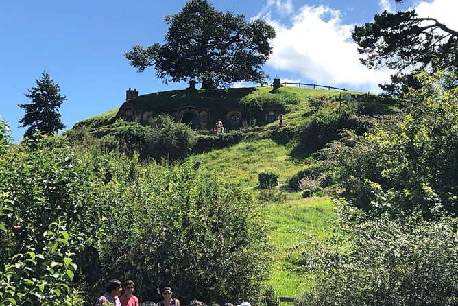 One day Hobbiton Movie set visit from Auckland - Who Will Enjoy This Tour?