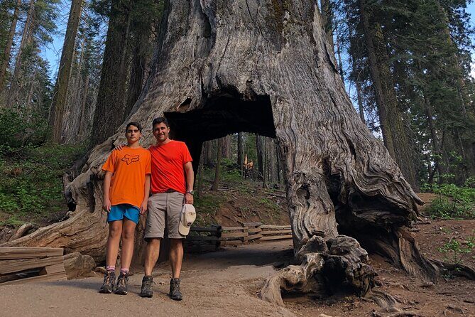 One Day In Yosemite Private Tour:Yosemite Valley, Glacier Point & Giant Sequoias - Reviews Highlighting the Experience