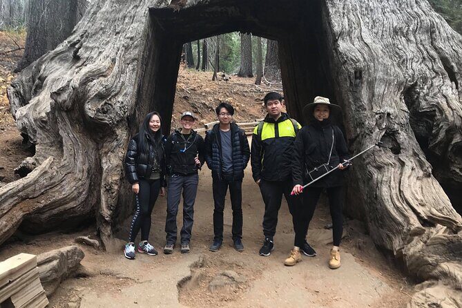 One Day In Yosemite Private Tour:Yosemite Valley, Glacier Point & Giant Sequoias - The Sum Up