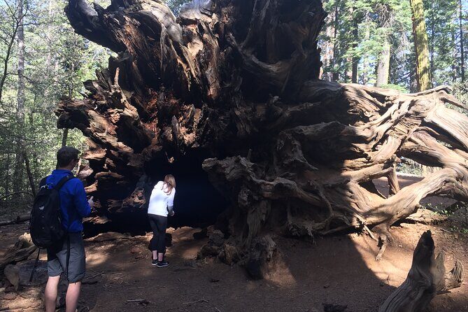 One Day In Yosemite Private Tour:Yosemite Valley, Glacier Point & Giant Sequoias - FAQ