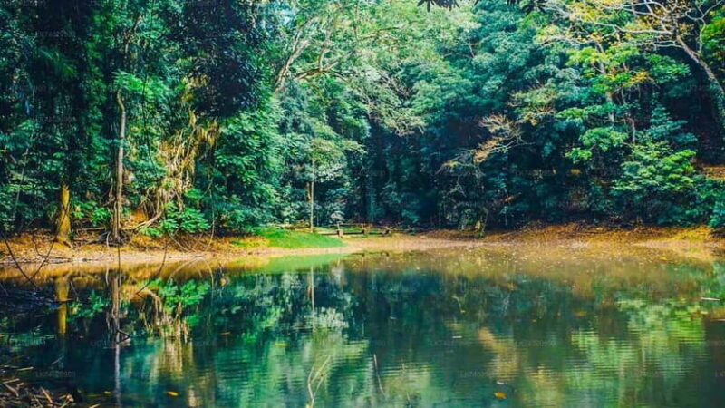One Day Kandy Kingdom City Tour - An In-Depth Look at the Itinerary